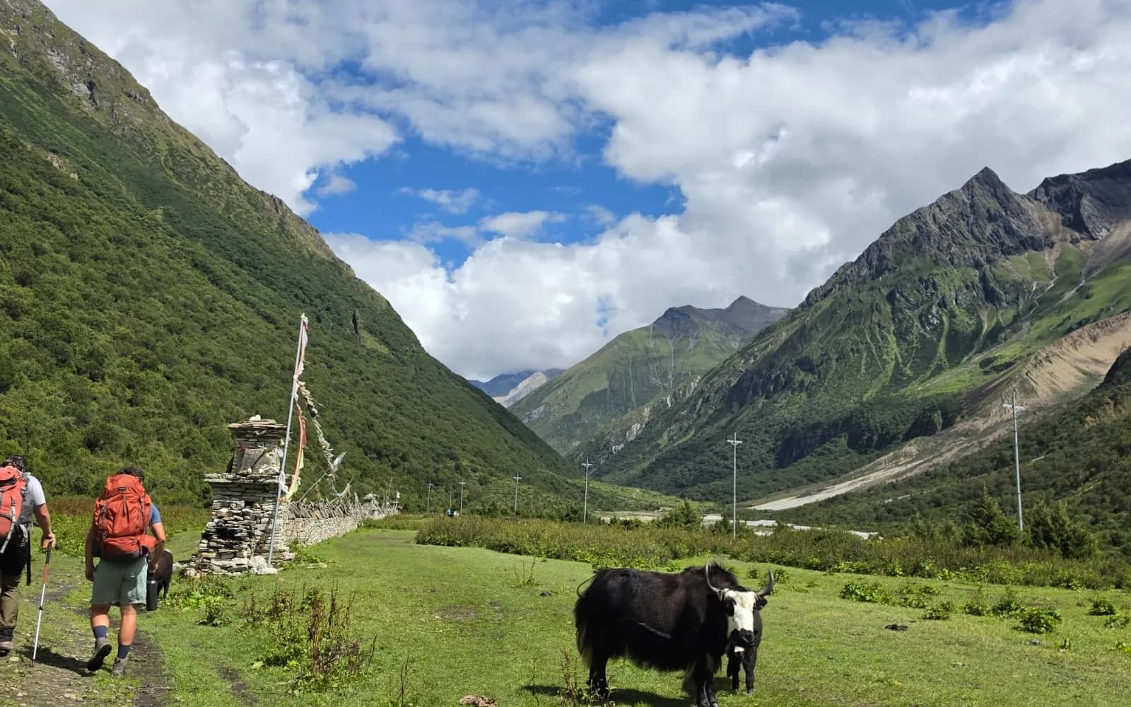 5 Safe Treks in Nepal 2027: Finding the Right Himalayan Route for Your Journey